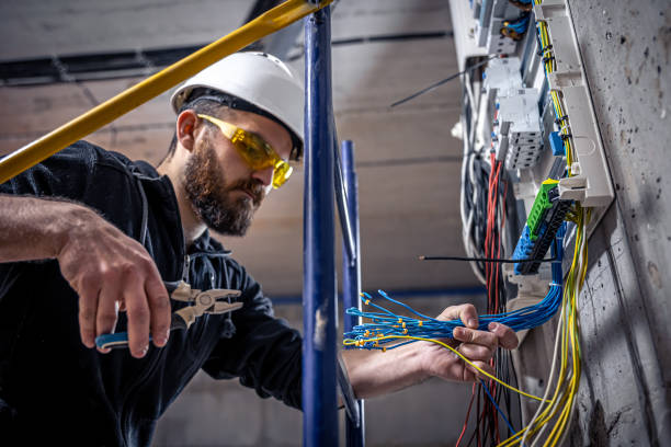 Best Affordable Electrician  in Roman Forest, TX